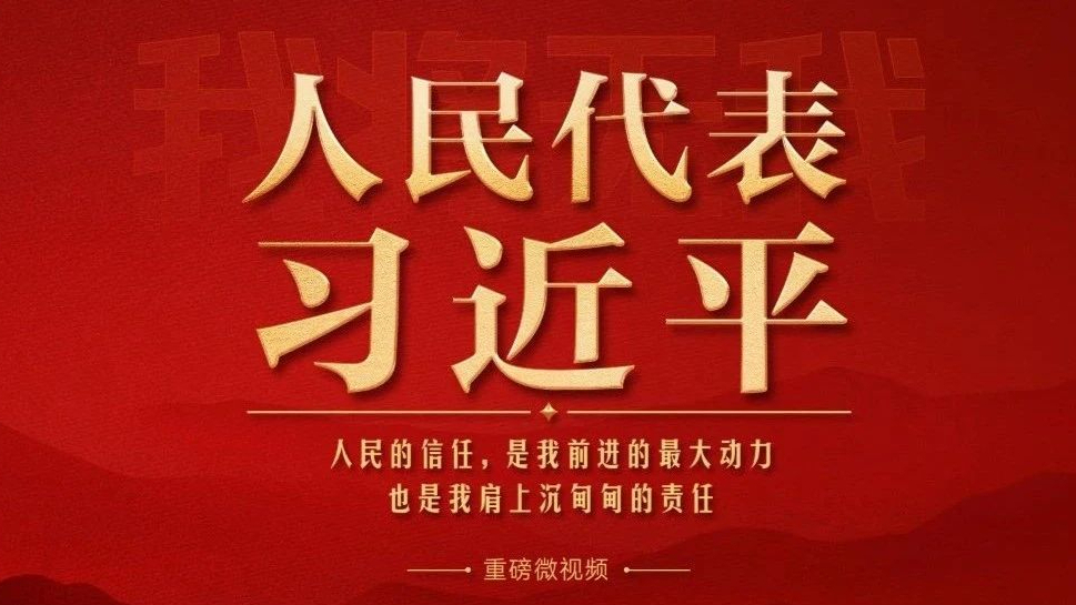 人民代表习近平