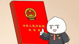 第五集：中國特色社會主義法治體系如何保證公平正義？