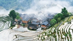 家在青山綠水間——生態文明制度體系如何為美麗中國保駕護航？